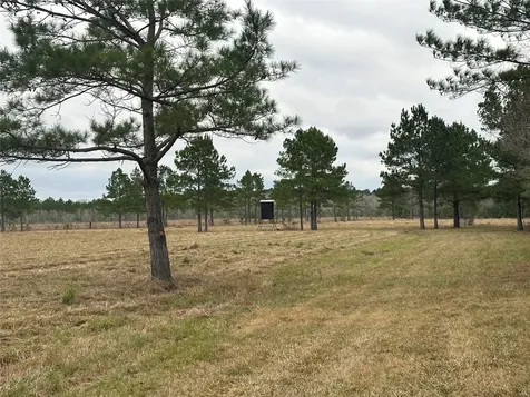 1439 Fm-770 Liberty TX 77575