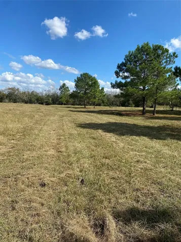 1439 Fm-770 Liberty TX 77575