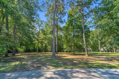 3442 W Benders Landing Boulevard Spring TX 77386