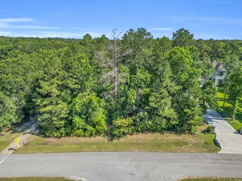 3442 W Benders Landing Boulevard Spring TX 77386