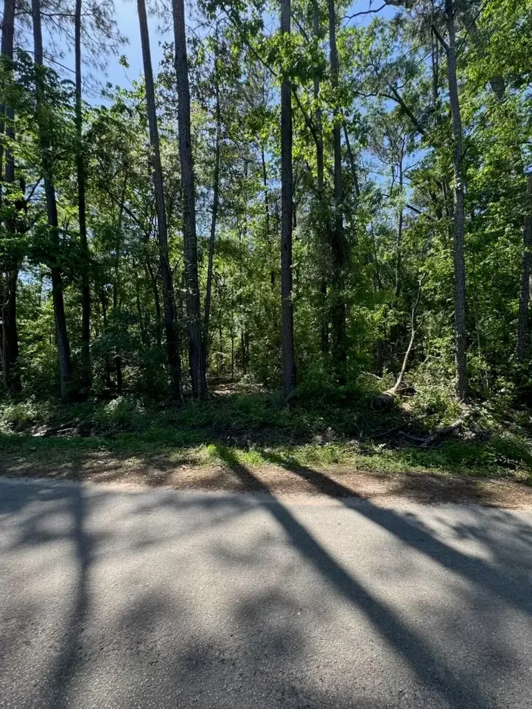 166 County Road 3475 Cleveland TX 77327