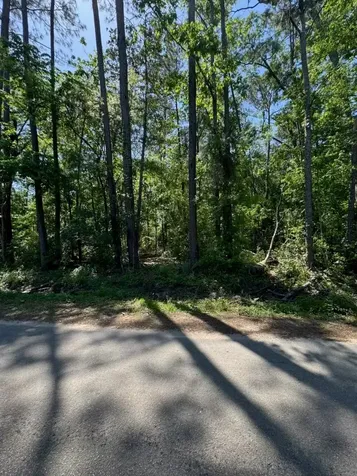 166 County Road 3475 Cleveland TX 77327