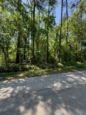 166 County Road 3475 Cleveland TX 77327