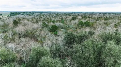 0000 Highway 124 Stowell TX 77661