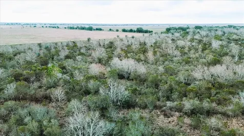 0000 Highway 124 Stowell TX 77661
