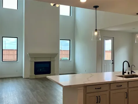 21914 Iris Colony Drive Waller TX 77484