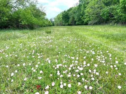 10463 Highway 36 Bellville TX 77418