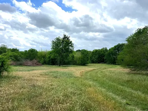 10463 Highway 36 Bellville TX 77418