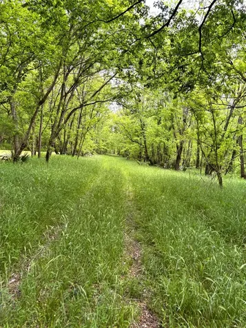 10463 Highway 36 Bellville TX 77418