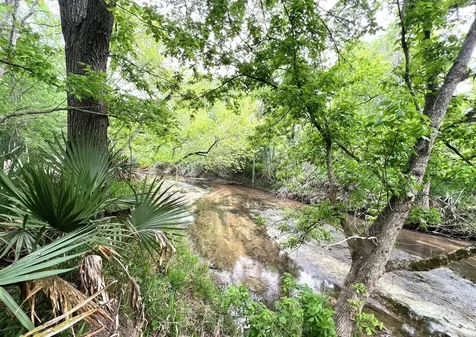 10463 Highway 36 Bellville TX 77418