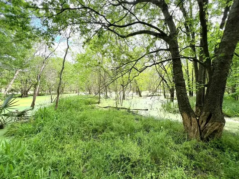10463 Highway 36 Bellville TX 77418