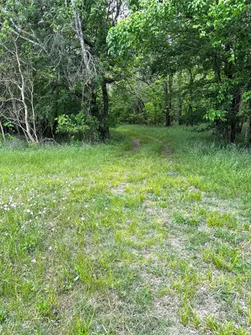 10463 Highway 36 Bellville TX 77418