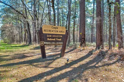Lot 6 Homestead Hill Road New Waverly TX 77358