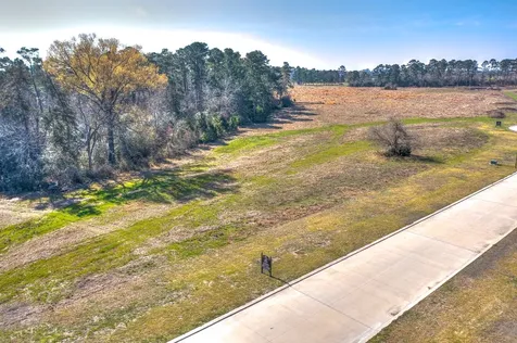 Lot 6 Homestead Hill Road New Waverly TX 77358