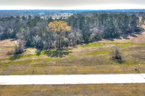 Lot 6 Homestead Hill Road New Waverly TX 77358