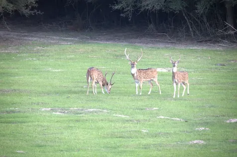 Tbd County Road 412 Lexington TX 78947