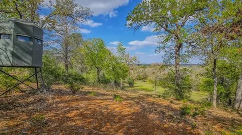 Tbd County Road 412 Lexington TX 78947