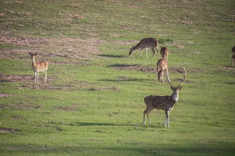 Tbd County Road 412 Lexington TX 78947