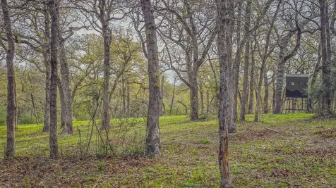 Tbd County Road 412 Lexington TX 78947