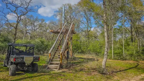 Tbd County Road 412 Lexington TX 78947