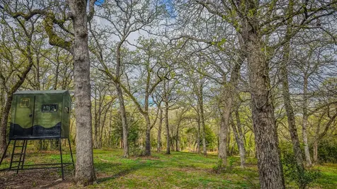 Tbd County Road 412 Lexington TX 78947