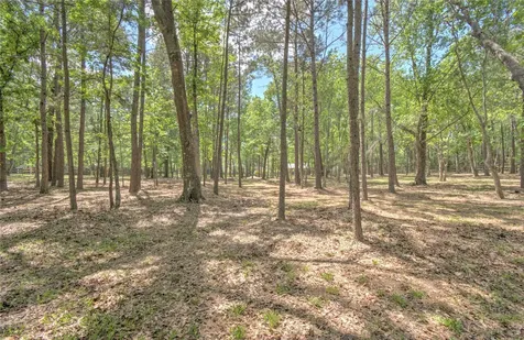 15508 Crown Oaks Drive Montgomery TX 77316
