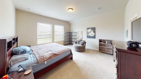 29919 Vallonea Oak Brookshire TX 77423