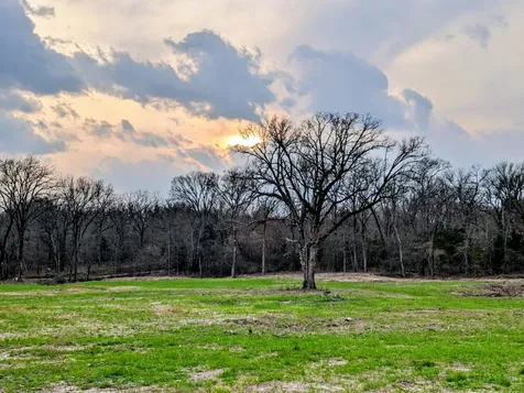 3115 Rains County Road 2610 Alba TX 75410