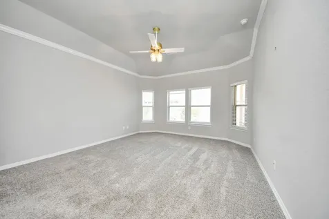 9019 Emerald Cane Drive Missouri City TX 77459