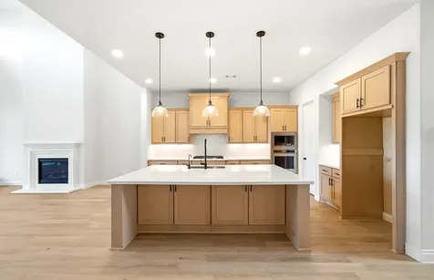 21002 Magnolia Mill Drive Cypress TX 77433