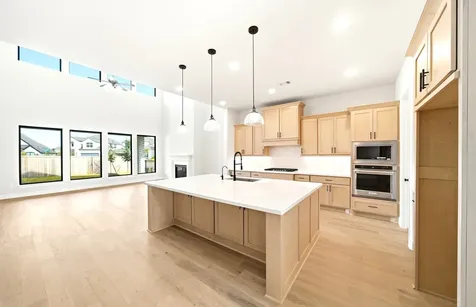 21002 Magnolia Mill Drive Cypress TX 77433