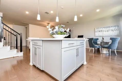 10310 Marston Vineyard Drive Houston TX 77025
