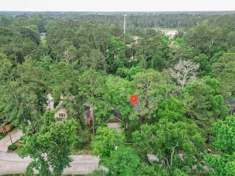 47 W Tallowberry Drive The Woodlands TX 77381
