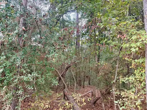 Tbd Magnolia Duke Drive Livingston TX 77351