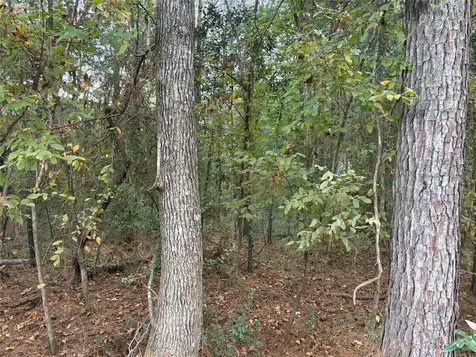 Tbd Magnolia Duke Drive Livingston TX 77351
