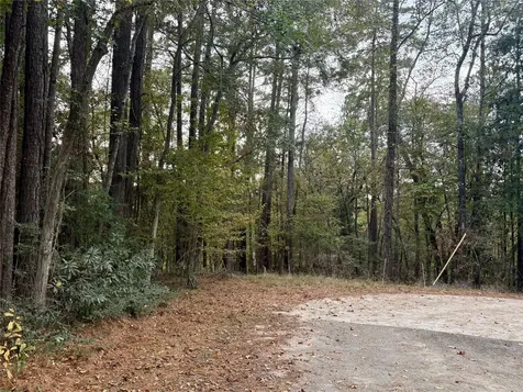 Tbd Magnolia Duke Drive Livingston TX 77351