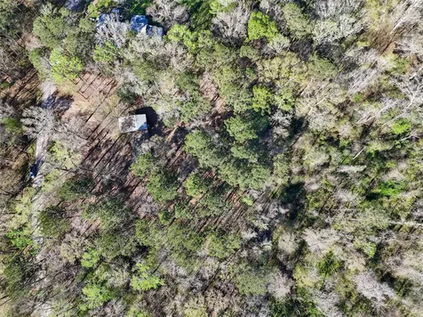 54 Ranch Acres Drive Huntsville TX 77340