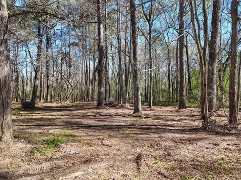 54 Ranch Acres Drive Huntsville TX 77340