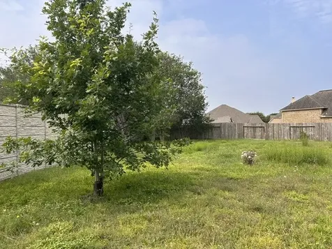 6206 Orange Blossom Lane Rosenberg TX 77471