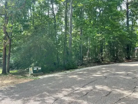 15 Fern View Court Coldspring TX 77331