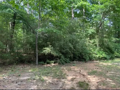 15 Fern View Court Coldspring TX 77331