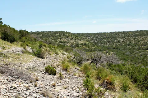 2519 Widmark Road Del Rio TX 78837