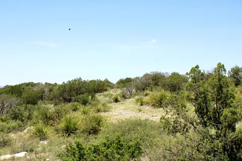 2519 Widmark Road Del Rio TX 78837
