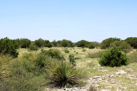 2519 Widmark Road Del Rio TX 78837