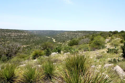 2519 Widmark Road Del Rio TX 78837