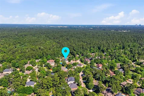 34 Watermint Place The Woodlands TX 77384