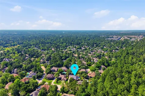 34 Watermint Place The Woodlands TX 77384