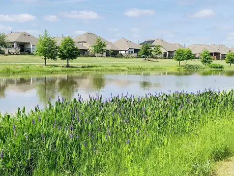 7823 Cattail Shallows Lane Katy TX 77493