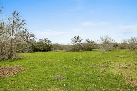 Tract 1 Tbd Kleihege Road New Ulm TX 78950