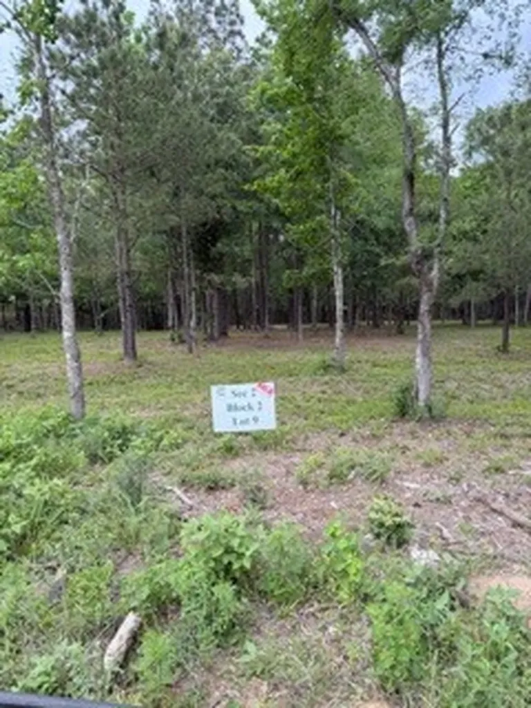 139778 Capital Creek Ranch Boulevard Willis TX 77378
